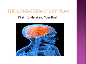 First:  Understand Your Brain