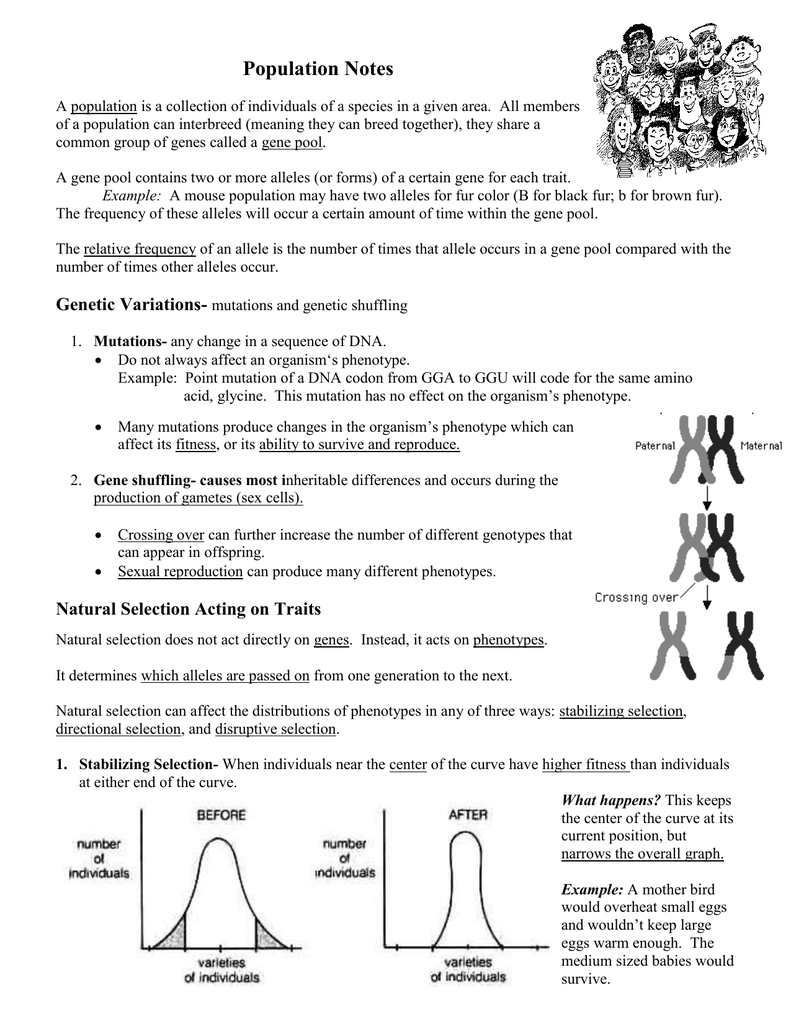 Population Notes