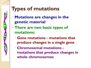 Types of mutations ◦ Mutations are changes in the genetic material