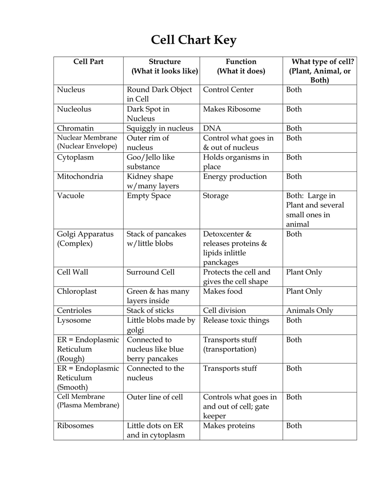 Differences Between Plant And Animal Cells Chart