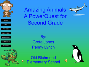 Amazing Animals A PowerQuest for Second Grade By: