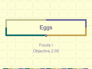 Eggs Foods I Objective 2.05
