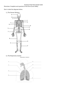 Anatomy Final Exam Study Guide  Part A: Label the diagrams below.