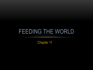 FEEDING THE WORLD Chapter 11