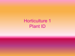 Horticulture 1 Plant ID