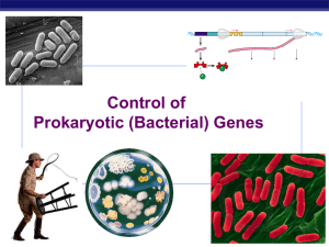 Control of Prokaryotic (Bacterial) Genes AP Biology 2007-2008