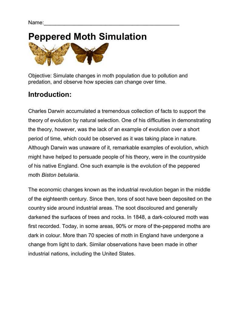 Peppered Moth Simulation Worksheet Answers Peppered Moth Snapshot