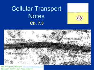 Cellular Transport Notes Ch. 7.3