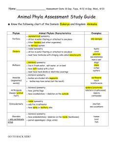 Animal Phyla Assessment Study Guide Name:__________________
