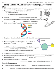Study Guide:  DNA and Gene Technology Assessment DNA: 