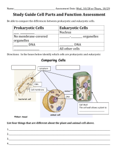 Study Guide Cell Parts and Function Assessment Prokaryotic Cells Eukaryotic Cells