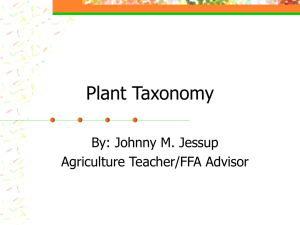 Plant Taxonomy By: Johnny M. Jessup Agriculture Teacher/FFA Advisor