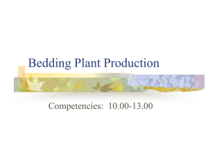 Bedding Plant Production Competencies:  10.00-13.00