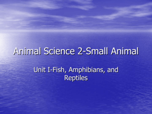 Animal Science 2-Small Animal Unit I-Fish, Amphibians, and Reptiles