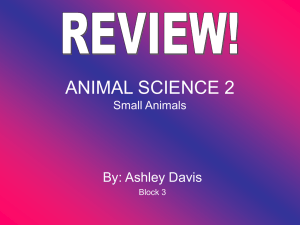 ANIMAL SCIENCE 2 By: Ashley Davis Small Animals Block 3