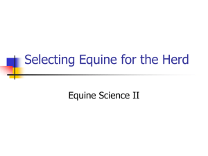 Selecting Equine for the Herd Equine Science II
