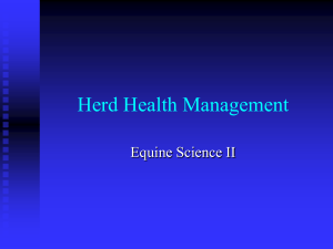 Herd Health Management Equine Science II