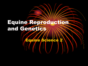 Equine Reproduction and Genetics Equine Science 2