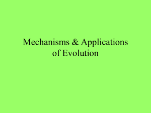 Mechanisms &amp; Applications of Evolution