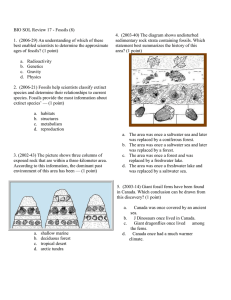 BIO SOL Review 17 - Fossils (8)