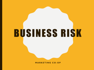 BUSINESS RISK