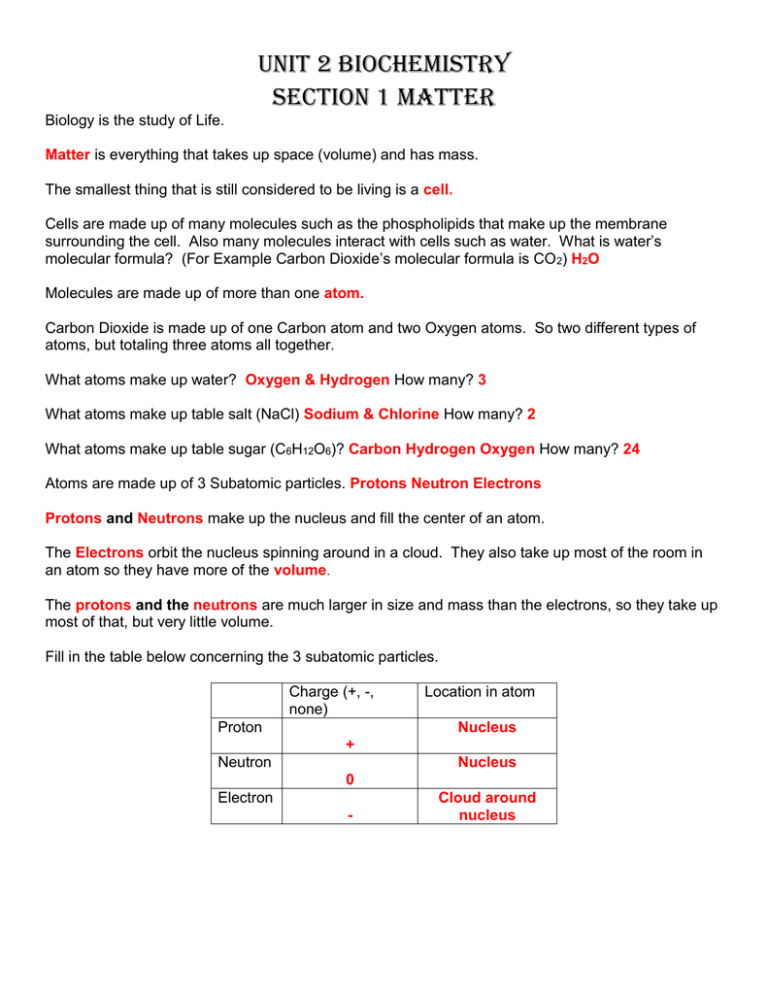 Unit 2 Biochemistry Review Sheet Answers