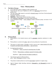 Notes - Photosynthesis I. The Role of Energy