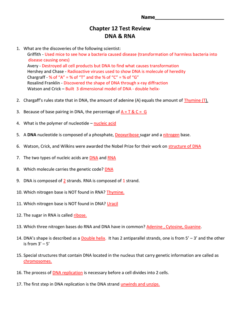 Protein Synthesis Worksheet Answers