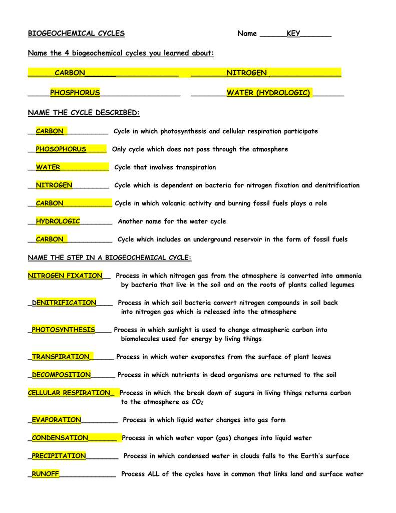 Biogeochemical Cycles Worksheet Answers