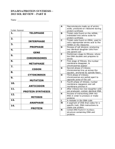 DNA/RNA/PROTEIN SYNTHESIS – 2013 SOL REVIEW – PART II  Name  ____________________________