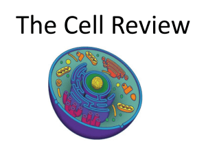 The Cell Review