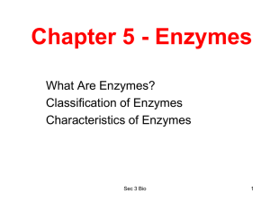 Chapter 5 - Enzymes What Are Enzymes? Classification of Enzymes Characteristics of Enzymes