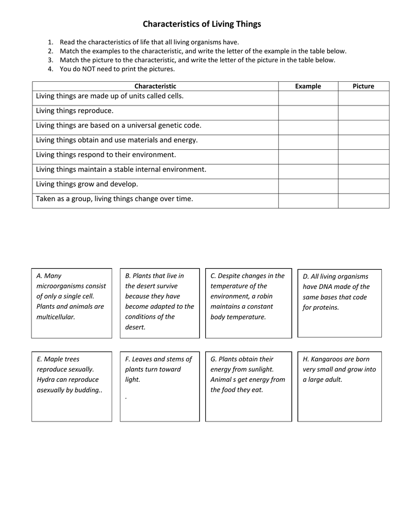Characteristics of Living Things Intended For Characteristics Of Living Things Worksheet