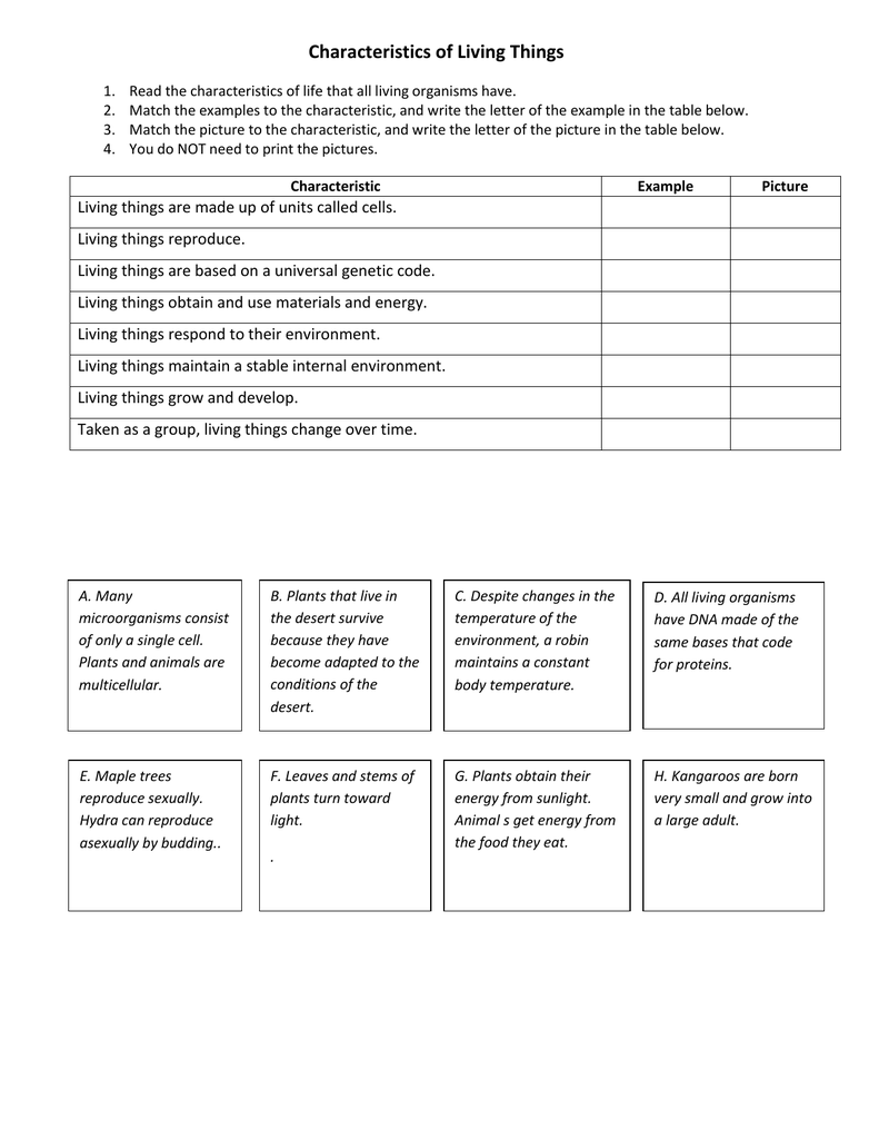 characteristics-of-living-things