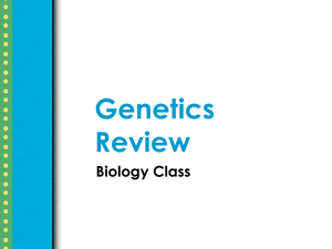 Genetics Review Biology Class