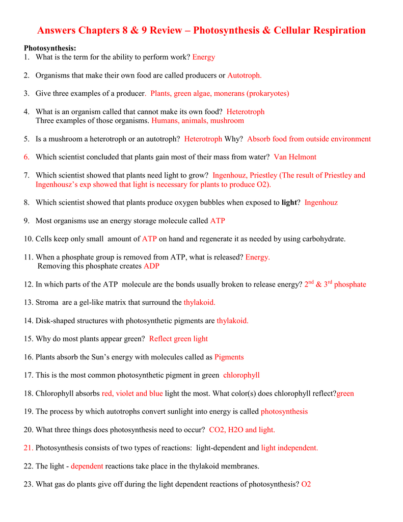 Answers Chapters 25 &amp; 25 Review – Photosynthesis &amp; Cellular Within Cellular Respiration Review Worksheet