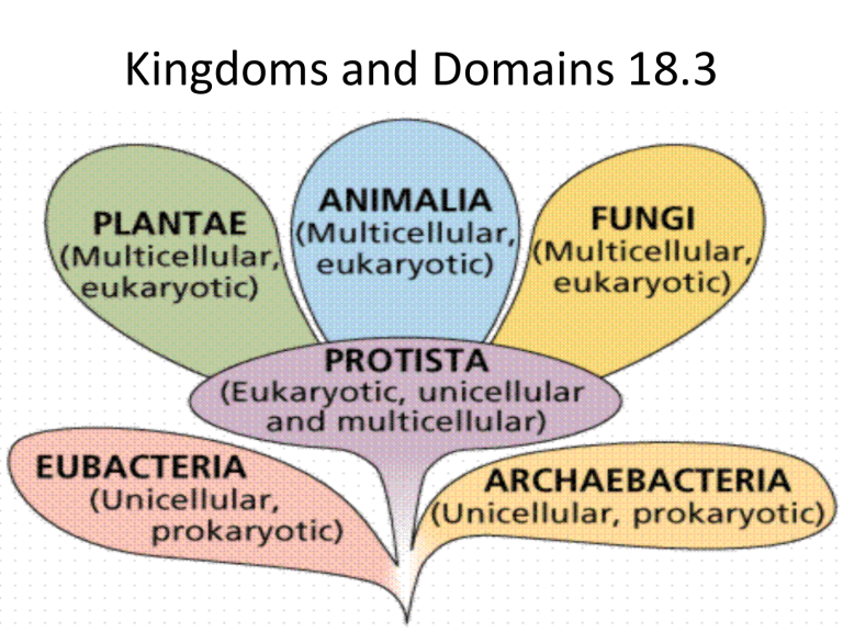 which table correctly identifies the three kingdoms