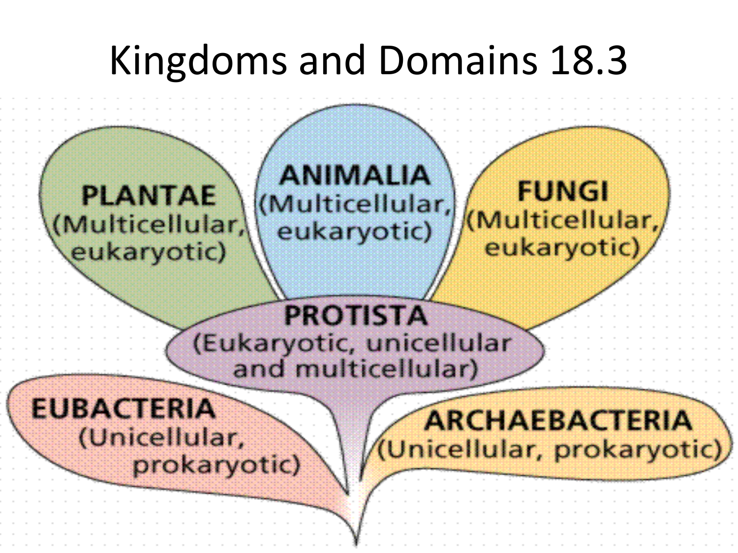 Domain And Kingdom Classification Activity