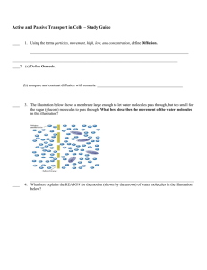 Active and Passive Transport in Cells – Study Guide