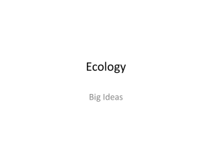 Ecology Big Ideas
