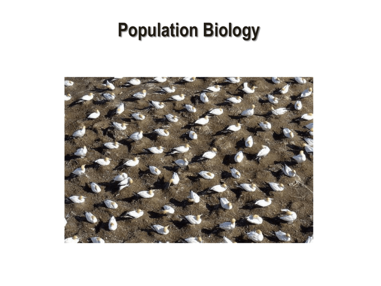 population-biology