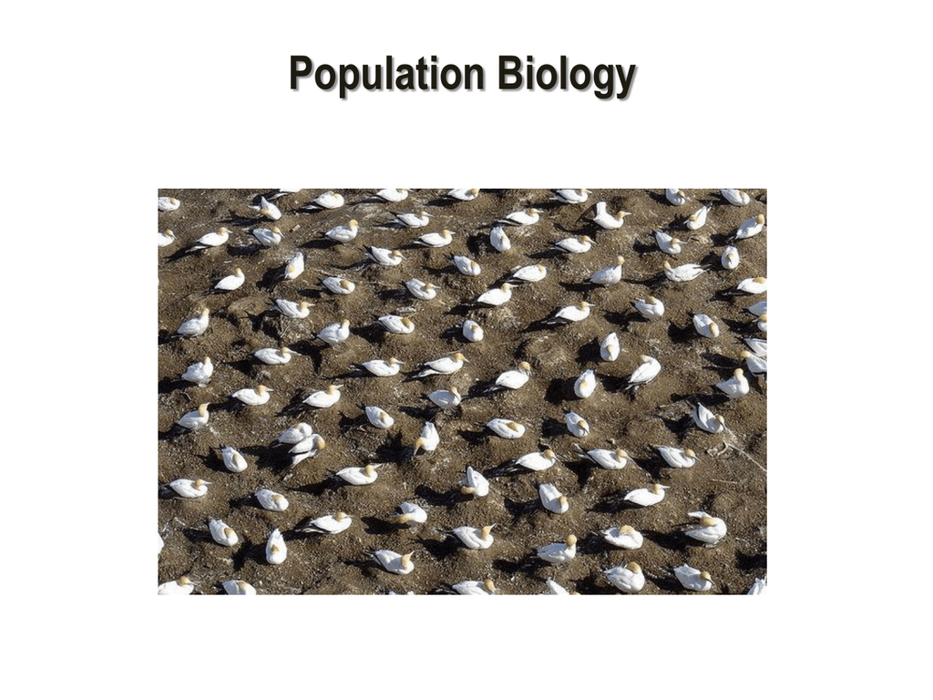 What Does Population Distribution Mean In Biology