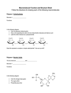 Macromolecule Function and Structure Sheet  Polymer = Carbohydrates