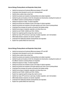 Honors Biology Photosynthesis and Respiration Study Guide