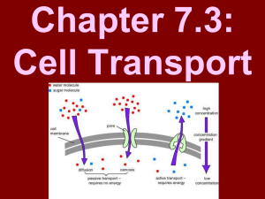 Chapter 7.3: Cell Transport