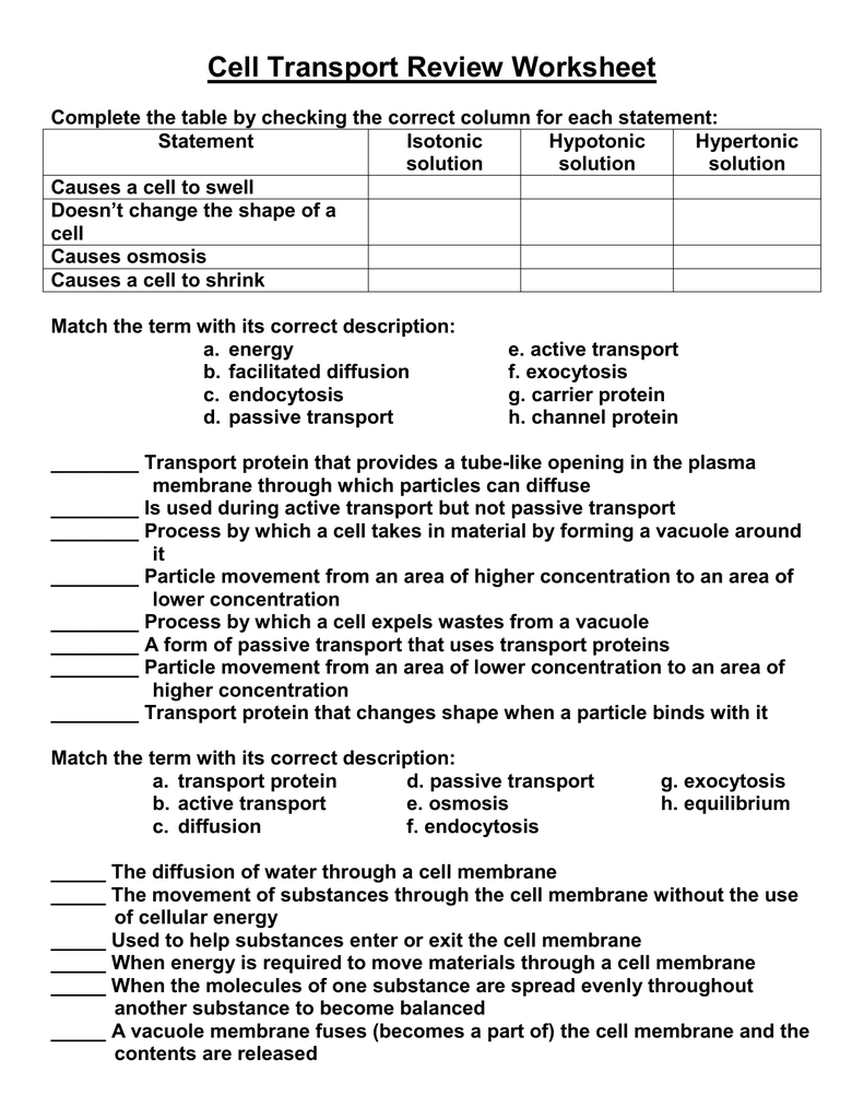 Cell Transport Review Worksheet With Regard To Passive And Active Transport Worksheet
