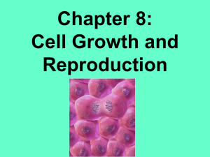 Chapter 8: Cell Growth and Reproduction