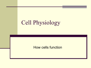 Cell Physiology How cells function
