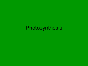 Photosynthesis