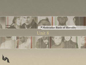 Unit 8 Molecular Basis of Heredity